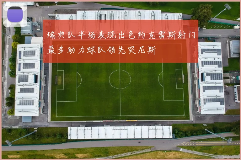 瑞典队半场表现出色约克雷斯射门最多助力球队领先突尼斯